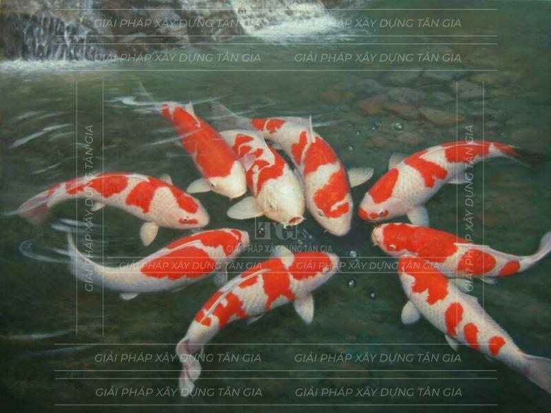Hình ảnh Vẽ Tay Minh Họa Cá Koi PNG Miễn Phí Tải Về - Lovepik